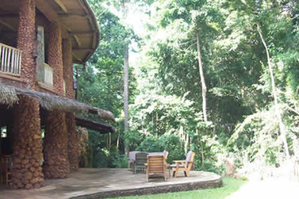 The Rain Forest Lodge Mabira