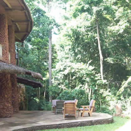 The Rain Forest Lodge Mabira