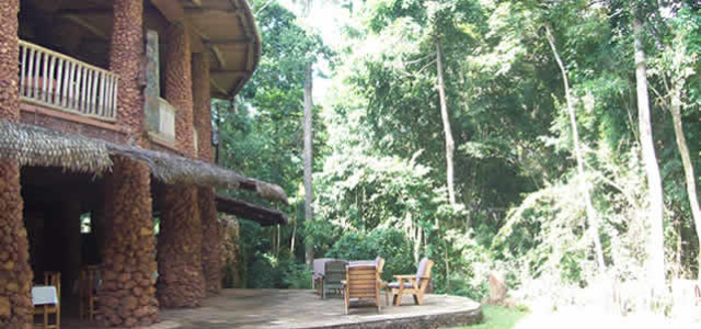 The Rain Forest Lodge Mabira