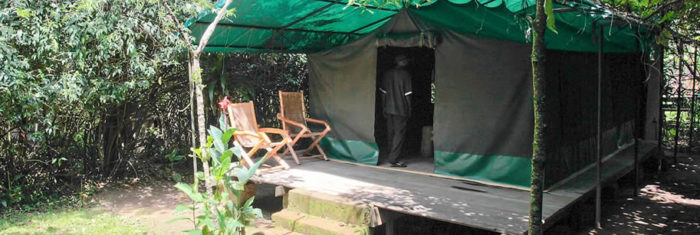 Where To Stay On a Gorilla Tour in Uganda